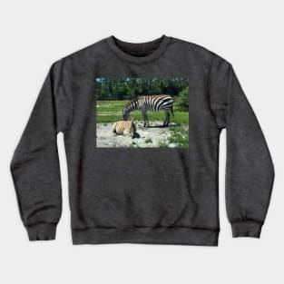 Zebra Mom and Baby Crewneck Sweatshirt
